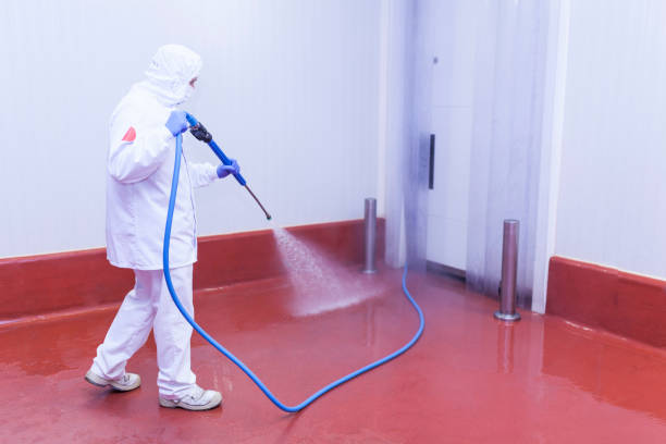 Best Roof Washing  in Newhall, IA
